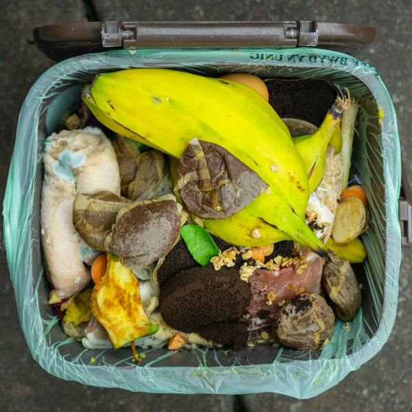 Bokashi Composting: An easy way to compost for apartment renters