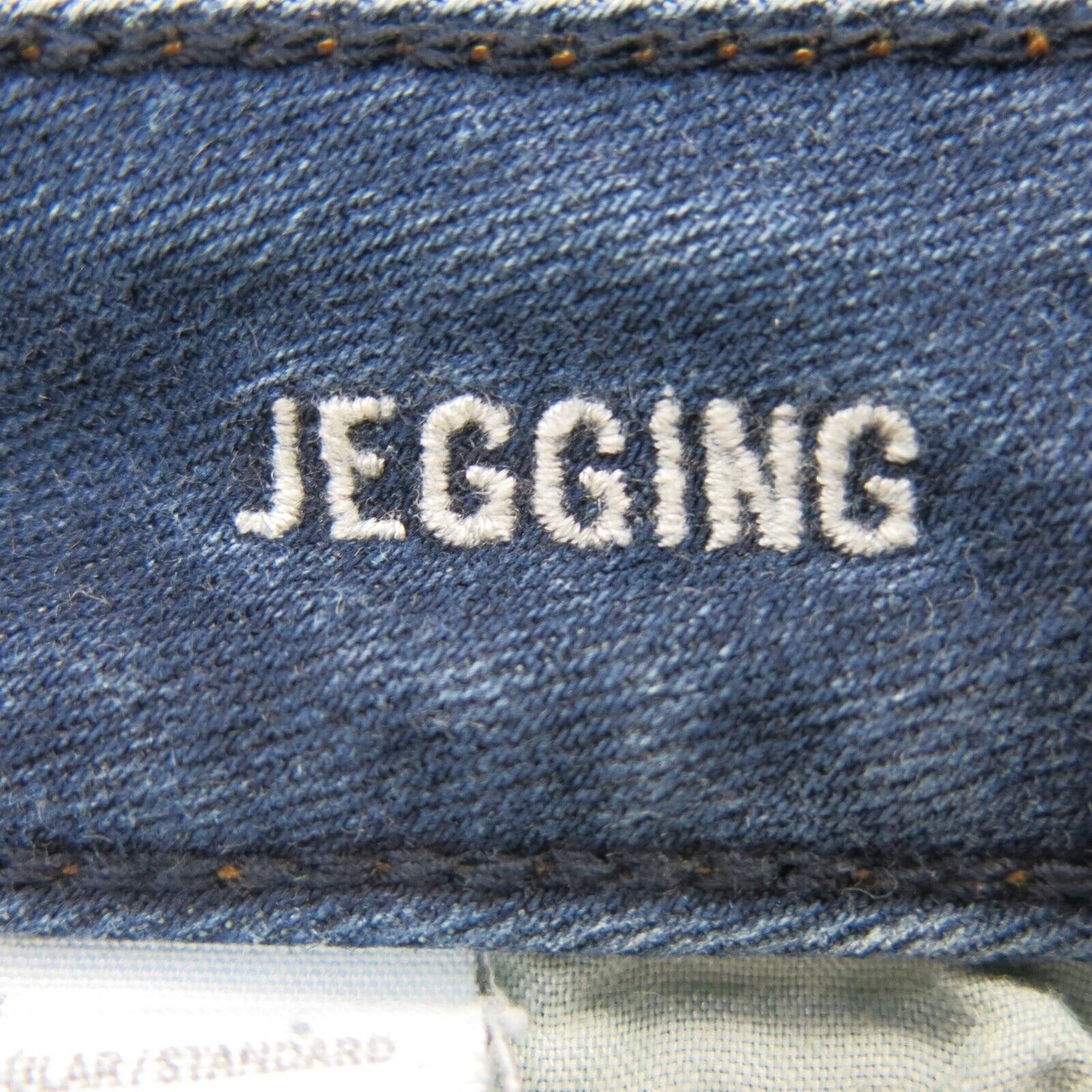 American Eagle Womens Skinny Leg Denim Jegging Jeans Low Rise Blue Size 4