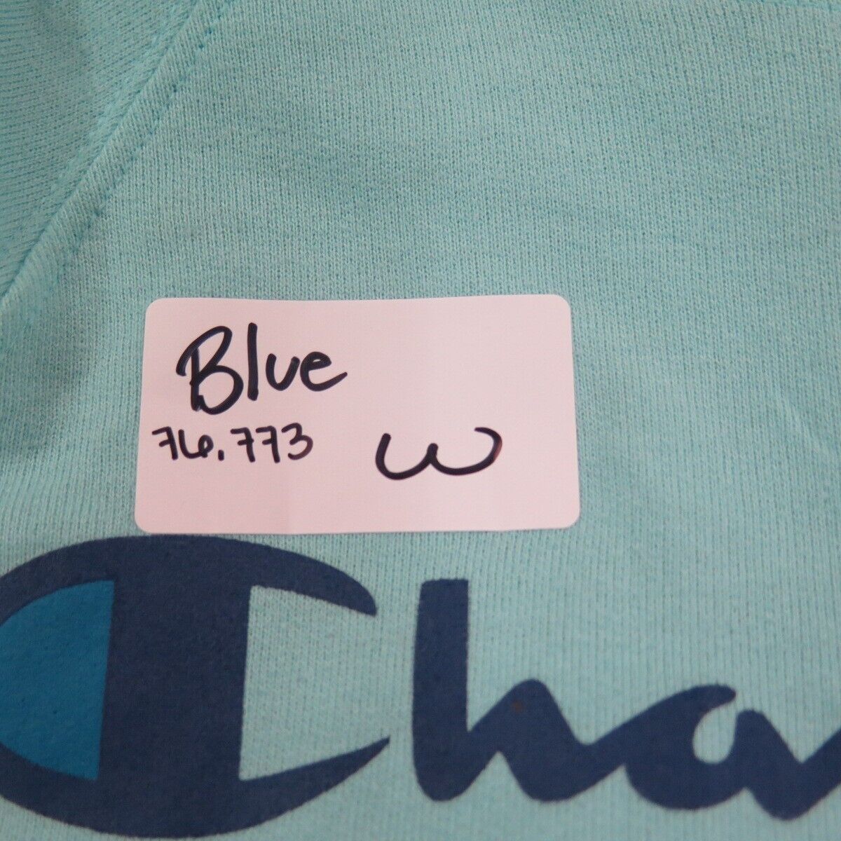 Mint blue hot sale champion hoodie