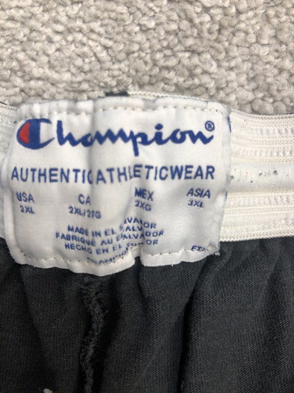 Champion hot sale shorts 3xl